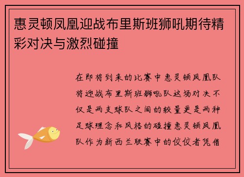 惠灵顿凤凰迎战布里斯班狮吼期待精彩对决与激烈碰撞